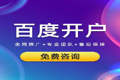 SEM竞价实战：成功案例解析